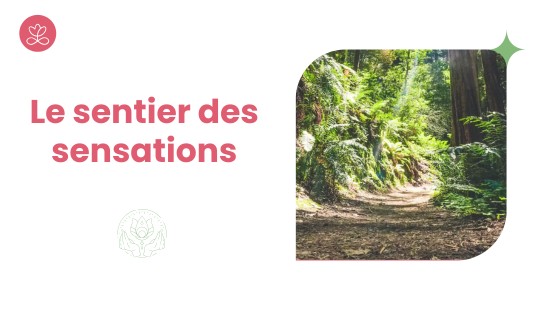 Semaine 49 : Le sentier des sensations (22 minutes)